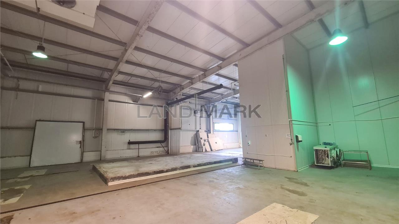 Hala industriala cu depozit Frigo, 3650 mp , Timisoara NORD