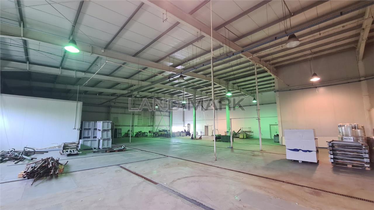 Hala industriala cu depozit Frigo, 3650 mp , Timisoara NORD