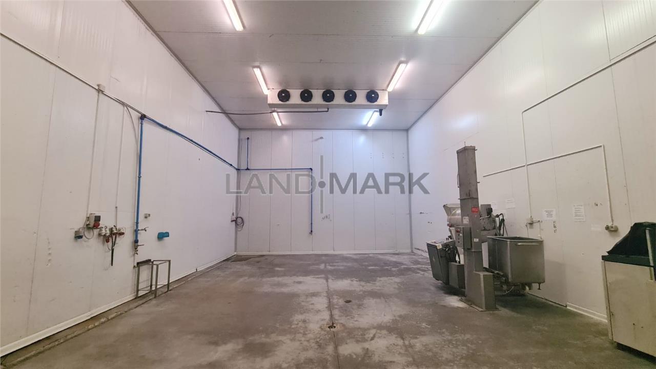 Hala industriala cu depozit Frigo, 3650 mp , Timisoara NORD