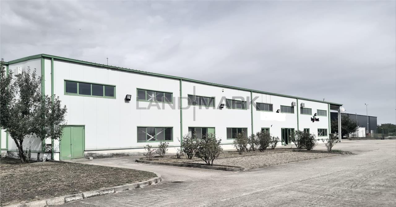 Hala industriala cu depozit Frigo, 3650 mp , Timisoara NORD