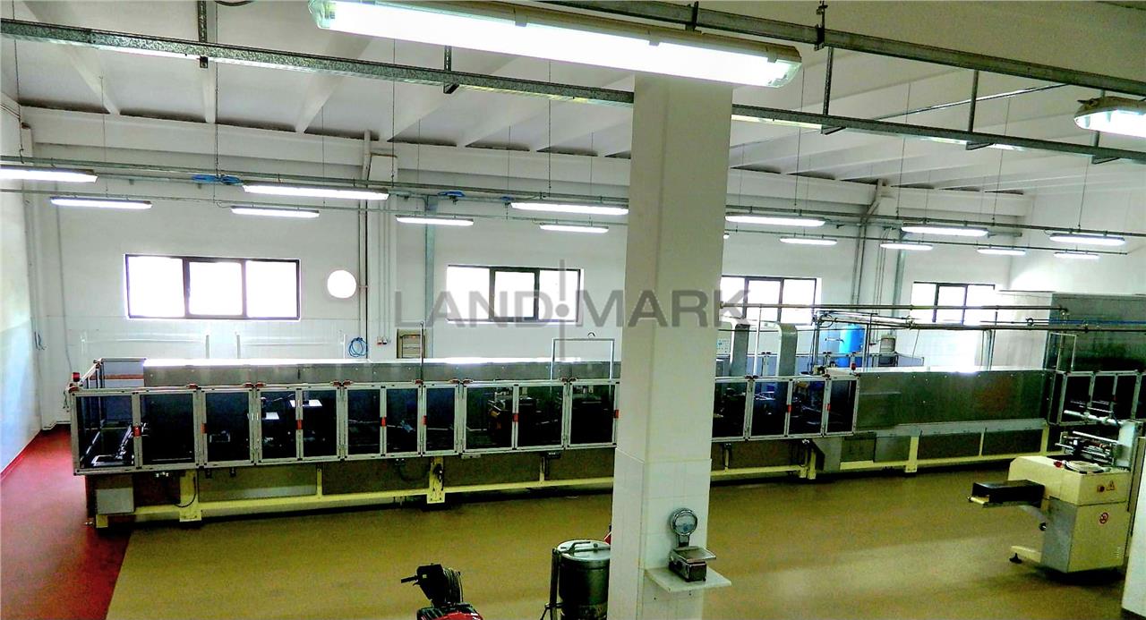 Hala industriala, 1600 mp cu teren 6500 mp , Timisoara Nord Vest