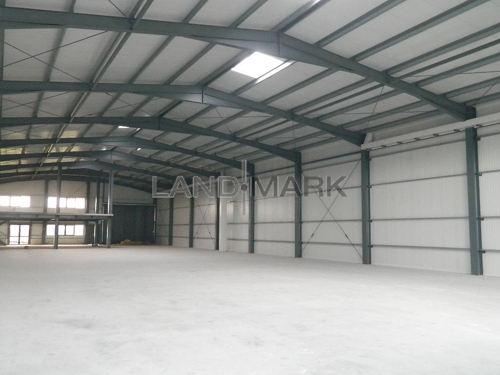 Hala noua de inchiriat Timisoara , zona Aradului A1