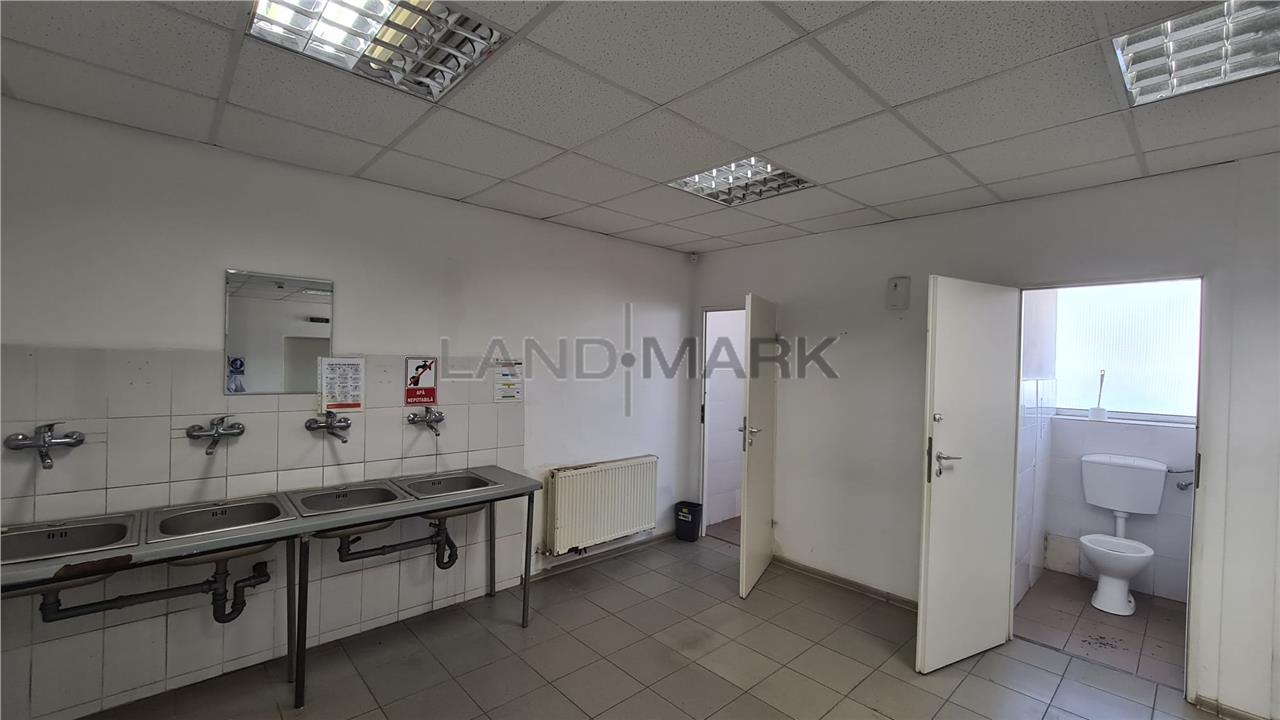 Hala industriala Timisoara, 2500 7500 mp , Calea Sagului