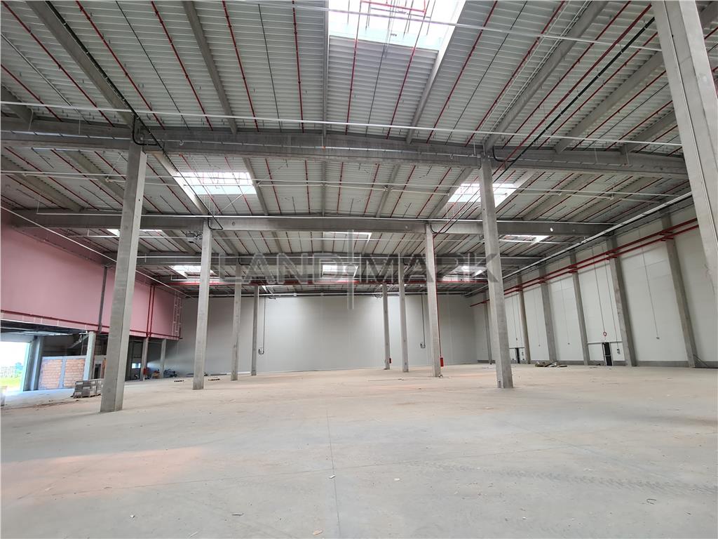 Hala industrialaTimisoara , 2500 mp, Calea Lugojului