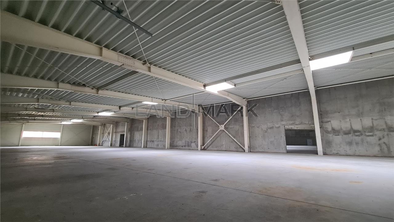 Hala productie de vanzare Timisoara Exterior Nord