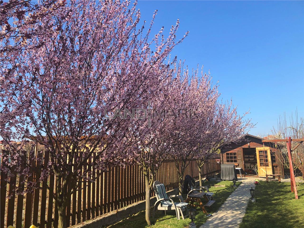 COMISION 0% Casa Individuala mobilata si utilata in Giarmata Vii