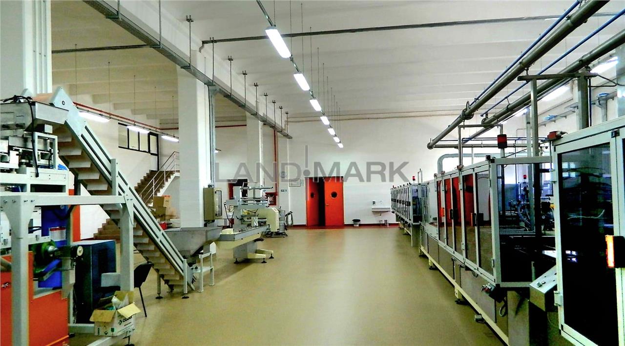 Hala industriala de vanzare, Timisoara Nord Vest