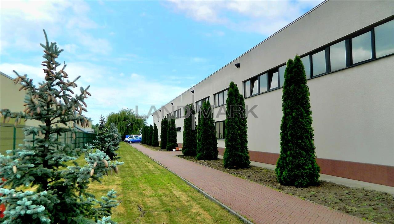 Hala industriala de vanzare, Timisoara Nord Vest