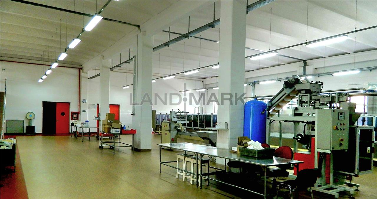 Hala industriala de vanzare, Timisoara Nord Vest