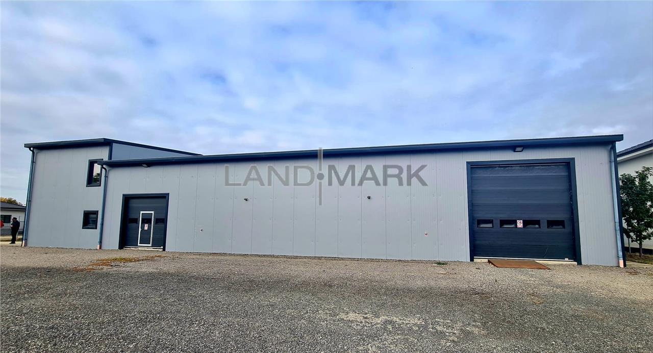 Hala moderna de vanzare, Mosnita Noua