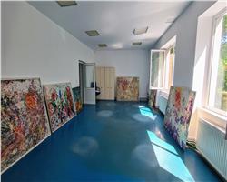 Cladire multifunctionala SAD, 750 mp utili, Central - Timisoara